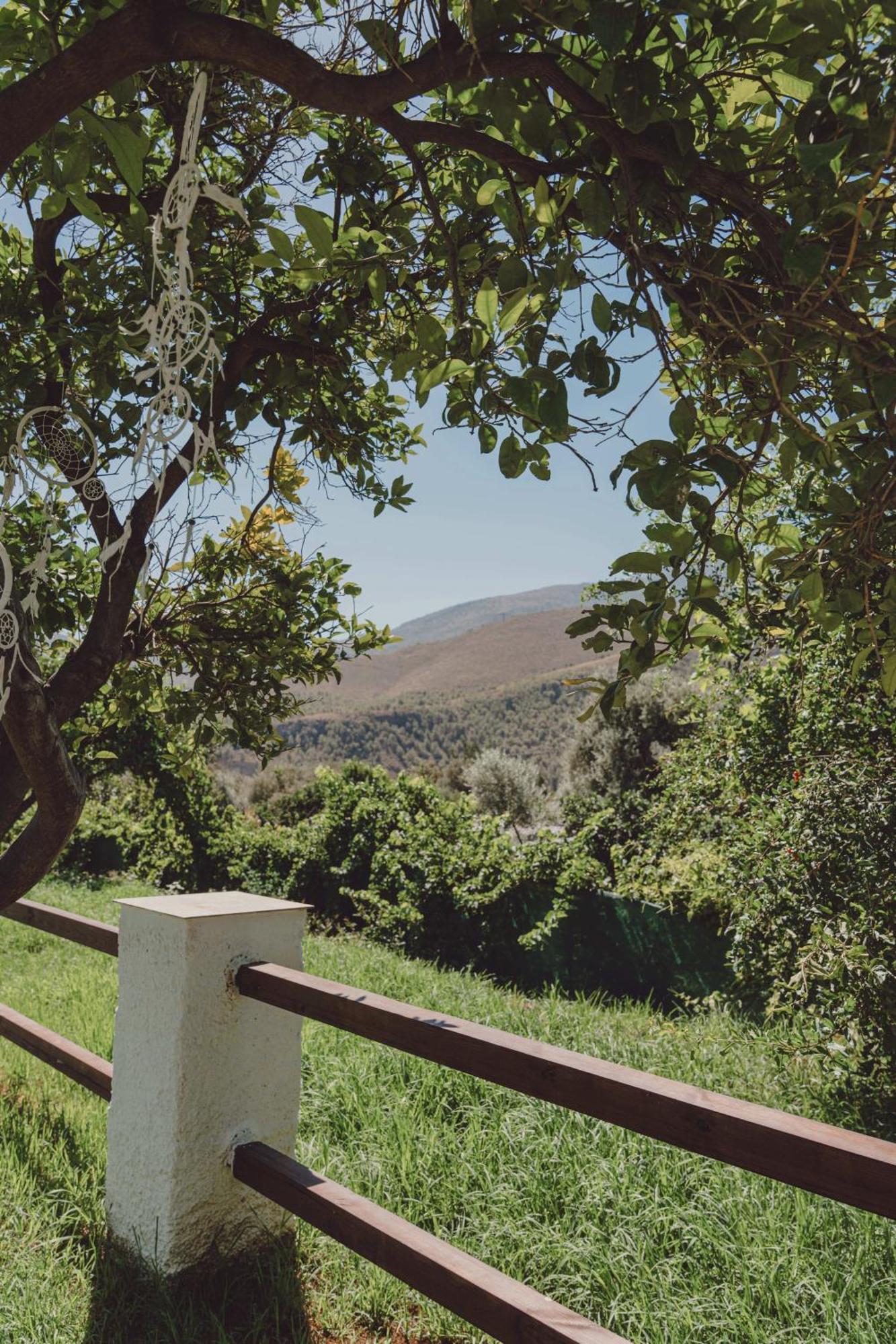 אורגיווה Hotel Taray Botanico מראה חיצוני תמונה